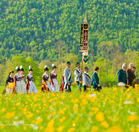 fileadmin/roha/images_galerie/brauchtum/Tracht/Trachtenwallfahrt_Raiten/BR-TRACH-WALL-RAI-0018-D-roha-Tracht-Trachtenwallfahrt-Raiten-Chiemgau-Alpenverband-Blumenwiese.png