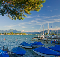 fileadmin/roha/images_galerie/orte_landschaft/Chiemsee/CHIE-FRAU-SEG-0017-D-roha-Chiemsee-Fraueninsel-Gstadt-Segelschiff-Hafen.png