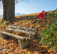 fileadmin/roha/images_galerie/Zaun-Bank/LANDA-BANK-SIL-0002-D-roha-Landart-Bank-Herbst-Sillersdorf.png