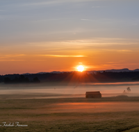 fileadmin/roha/images_galerie/stimmung-Sonne/Sonnenaufgang/SO-AU-HAARM-0015-06-D-roha-Sonne-Sonnenaufgang-Haarmoos-Nebel.png