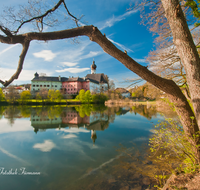 fileadmin/roha/images_galerie/orte_landschaft/Anger/Hoeglwoerth/AN-HOE-FRUEH-0004-D-roha-Anger-Hoeglwoerth-Fruehling-Baum-Spiegelung-Ast-See.png