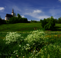 fileadmin/roha/images_galerie/orte_landschaft/Fridolfing/FRID-PIETL-0009-D-roha-Fridolfing-Pietling-Fruehling-Kirche.png