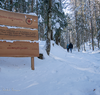 fileadmin/roha/images_galerie/orte_landschaft/Inzell/INZ-FRILL-WI-0016-D-roha-Inzell-Frillensee-Winter-Schnee-Weg.png