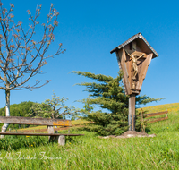 fileadmin/roha/images_galerie/Zaun-Bank/KKKM-NEUK-STRUSSB-0003-D-roha-Wegkreuz-Neukirchen-Strussberg-Fruehling-Blumenwiese-Bank.png