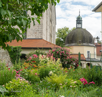 fileadmin/roha/images_galerie/orte_landschaft/Laufen/LAUF-STIFTSK-GART-0002-D-roha-Laufen-Stiftskirche-Garten-Blumen.png