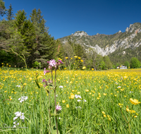 fileadmin/roha/images_galerie/orte_landschaft/Berchtesgaden/Bischofswiesen/BGD-BISCH-0001-33-D-roha-Berchtesgaden-Bischofwiesen-schlafende-Hexe-Lattengebirge.png