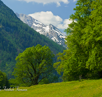 fileadmin/roha/images_galerie/orte_landschaft/Berchtesgaden/Ramsau/BGD-RA-LAN-0038-D-roha-Berchtesgaden-Ramsau-Landschaft-Blaueis-Hochkalter-Almwiese.png