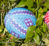 fileadmin/roha/images_galerie/brauchtum/Ostern/BR-OST-BRUN-EI-0026-D-roha-Brauchtum-Osterbrunnen-Bad-Reichenhall-Florianiplatz-Osterei-Straussenei-Frohe-Ostern.png