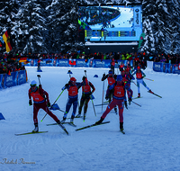 fileadmin/roha/images_galerie/Freizeit-Sport/Biathlon/2017-Biathlon/SPO-BIATH-2017-1555-2988-D-roha-Sport-Biathlon-Ruhpolding-Chiemgau-Arena-Winter-Schnee-Jubel.png