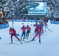 fileadmin/roha/images_galerie/Freizeit-Sport/Biathlon/2017-Biathlon/SPO-BIATH-2017-1555-2988-D-roha-Sport-Biathlon-Ruhpolding-Chiemgau-Arena-Winter-Schnee-Jubel.png