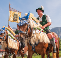 fileadmin/roha/images_galerie/brauchtum/Leonhardiritt/Inzell/BR-PFRI-INZ-0040-D-roha-Brauchtum-Pferdeumritt-Inzell-Michaeliritt-Pferd-Reiter.png