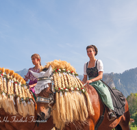 fileadmin/roha/images_galerie/brauchtum/Leonhardiritt/Inzell/BR-PFRI-INZ-0041-D-roha-Brauchtum-Pferdeumritt-Inzell-Michaeliritt-Pferd-Reiter.png