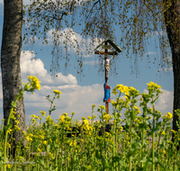 fileadmin/roha/images_galerie/kirche_religion/Saaldorf/KKKM-SAAL-ABTS-0001-2-60-D-roha-Wegkreuz-Abtsdorf-Saaldorf.png