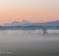 fileadmin/roha/images_galerie/stimmung-Sonne/STIM-HAARM-ABTS-0001-01-D-roha-Stimmung-Haarmoos-Abtsdorf-Sonnenaufgang.png