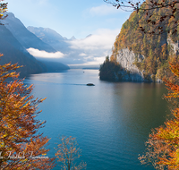 fileadmin/roha/images_galerie/orte_landschaft/Berchtesgaden/Koenigssee/BGD-KOE-ALMAB-0003-D-roha-Berchtesgaden-Koenigsee-Almabtrieb-Herbst-Malerwinkel.png