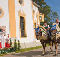 fileadmin/roha/images_galerie/brauchtum/Leonhardiritt/Inzell/BR-PFRI-INZ-0051-D-roha-Brauchtum-Pferdeumritt-Inzell-Michaeliritt-Pferd-Reiter-Pfarrer-Segen.png