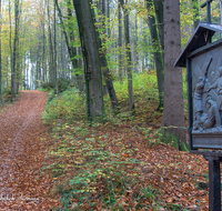 fileadmin/roha/images_galerie/kirche_religion/Ainring-Kreuzweg/KKKM-AINR-KR-05-0033-D-roha-Kreuzweg-Ainring-Ulrichshoegl-Wald-Weg-Herbst-Wald.png