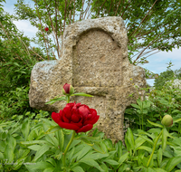 fileadmin/roha/images_galerie/kirche_religion/Saaldorf/KKKM-SAALD-BERG-0016-D-H-roha-Suehnekreuz-Saaldorf-Berg-Pfingstrose.png