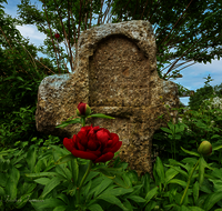 fileadmin/roha/images_galerie/kirche_religion/Saaldorf/KKKM-SAALD-BERG-0016-D-H-roha-Suehnekreuz-Saaldorf-Berg-Pfingstrose.png