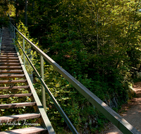 fileadmin/roha/images_galerie/orte_landschaft/Schneizlreuth/SCHNEILZL-WEISSB-HIM-0009-D-roha-Weissbach-Soleleitung-Himmelsleiter-Weg.png