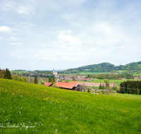 fileadmin/roha/images_galerie/orte_landschaft/Anger/Anger/AN-REIT-0001-D-roha-Anger-Reitberg-Hoegl-Kirche-Fruehling-Blumenwiese.png