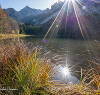 fileadmin/roha/images_galerie/stimmung-Sonne/INZ-FRILL-0038-D-roha-Frillensee-Sonne-Stimmung-Biotop-Herbst-Naturschutz.png