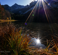 fileadmin/roha/images_galerie/stimmung-Sonne/INZ-FRILL-0038-D-roha-Frillensee-Sonne-Stimmung-Biotop-Herbst-Naturschutz.png