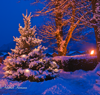 fileadmin/roha/images_galerie/orte_landschaft/Piding/PID-MAUTH-0002-7-D-roha-Piding-Kirche-St-Laurentius-Winter-Schnee-Christbaum-Nacht.png