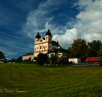 fileadmin/roha/images_galerie/orte_landschaft/Salzburg/Kolleg-Plain-Sebast-Franzis-Mich/SA-MARIAPLAIN-0005-1-D-roha-Salzburg-Maria-Plain-Linde.png