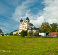 fileadmin/roha/images_galerie/orte_landschaft/Salzburg/Kolleg-Plain-Sebast-Franzis-Mich/SA-MARIAPLAIN-0005-1-D-roha-Salzburg-Maria-Plain-Linde.png