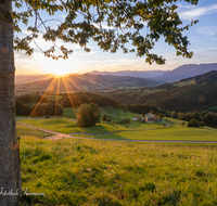 fileadmin/roha/images_galerie/orte_landschaft/Anger/Anger/Anger-Stimmung/SO-AU-ANG-STOISSB-0001-0630-D-roha-Sonnenaufgang-Anger-Stoissberg-Neuhaus-Baum.png