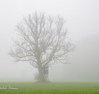 fileadmin/roha/images_galerie/stimmung-Sonne/STIM-TEI-AN-RA-0006-D-roha-Stimmung-Teisendorf-Anger-Nebel-Eiche-Jaeger-Hochstand.png