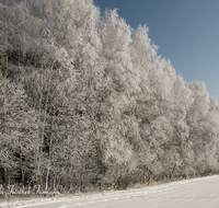 fileadmin/roha/images_galerie/Winter/WINT-TEI-UF-0006-D-roha-Winter-Teisendorf-Ufering-Weg-Schnee.png