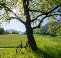 fileadmin/roha/images_galerie/orte_landschaft/Bad_Reichenhall/BAD-REI-GRUT-0025-D-roha-Bad-Reichenhall-Burg-Gruttenstein-Fahrrad.png