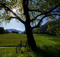 fileadmin/roha/images_galerie/orte_landschaft/Bad_Reichenhall/BAD-REI-GRUT-0025-D-roha-Bad-Reichenhall-Burg-Gruttenstein-Fahrrad.png