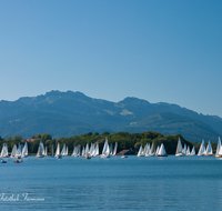 fileadmin/roha/images_galerie/orte_landschaft/Chiemsee/CHIE-SEG-0009-D-roha-Chiemsee-Segeln-Schafwascher-Bucht-Kampenwand.png