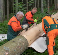 fileadmin/roha/images_galerie/Landwirtschaft/Forst-Holzknecht/HOLZKNE-0004-2018-1419-02-D-roha-Holzknecht-Teisenberg-Baum-Fichte-Schimpern-entrinden.png