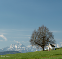 fileadmin/roha/images_galerie/Hintergrund-Download/1024x800/KKKM-SAALD-SILL-0041-D-roha-Kapelle-Saaldorf-Sillersdorf-Hochstaufen-Zwiesel.png