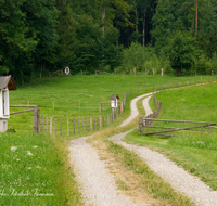 fileadmin/roha/images_galerie/kirche_religion/Teisendorf-Kreuzweg/KKKM-TEIS-KREUZW-0006-D-roha-Kreuzweg-Teisendorf-Schelmberg-Weg.png