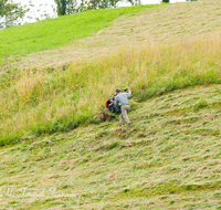 fileadmin/roha/images_galerie/Landwirtschaft/LANDW-EXPON-IRLB-0028-D-roha-Landwirtschaft-exponiert-Anger-Irlberg-maehen-Heu-Motormaeher.png