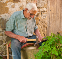 fileadmin/roha/images_galerie/Landwirtschaft/LANDW-HAND-SENS-0008-D-roha-Landwirtschaft-Handarbeit-Sense-dengeln-Hand-Hammer.png