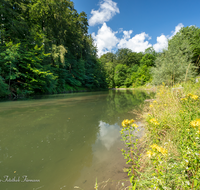 fileadmin/roha/images_galerie/wasser/WAS-WILDB-STOISS-0055-D-roha-Wasser-Wildbach-Stoisser-Ache-Anger.png