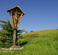 fileadmin/roha/images_galerie/kirche_religion/Neukirchen/KKKM-NEUK-STRUSSB-0001-D-roha-Wegkreuz-Neukirchen-Strussberg-Fruehling-Blumenwiese.png