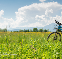 fileadmin/roha/images_galerie/Freizeit-Sport/E-Bike/SPO-E-BIKE-HAARM-0006-D-roha-Sport-E-Bike-Haarmoos-Saaldorf-Laufen-Abtsdorf-Hochstaufen-Zwiesel-Blumenwiese-Stadel.png