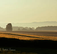 fileadmin/roha/images_galerie/stimmung-Sonne/STIM-TETTH-0001-D-roha-Stimmung-Sonnenaufgang-Tettenhausen-Getreidefeld-Landwirtschaft.png