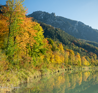 fileadmin/roha/images_galerie/orte_landschaft/Bad_Reichenhall/BAD-REI-SAAL-0001-04-D-roha-Bad-Reichenhall-Saalach-Predigtstuhl-Herbst.png