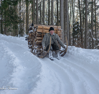 fileadmin/roha/images_galerie/Landwirtschaft/Forst-Holzknecht/HOLZKNE-HAM-0015-1421-0589-D-roha-Holzknecht-Schlitten-Winter-Siegsdorf-Hammer-Winterzug.png