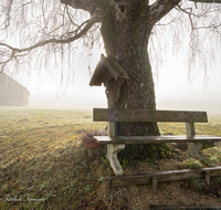 fileadmin/roha/images_galerie/kirche_religion/Ainring/KKKM-AINR-RAB-0001-D-roha-Wegkreuz-Ainring-Rabling-Nebel-Bank.png