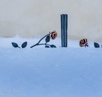 fileadmin/roha/images_galerie/kirche_religion/Neukirchen/KKKM-NEUK-FRIED-WI-0002-D-roha-Grabkreuz-Neukirchen-Friedhof-Winter-Schnee.png