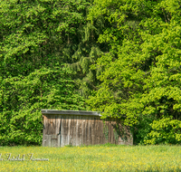 fileadmin/roha/images_galerie/dies_das/LANDA-STAD-PID-SECHS-0001-D-roha-Landart-Stadel-Waldrand-Blumenwiese-Fruehling.png